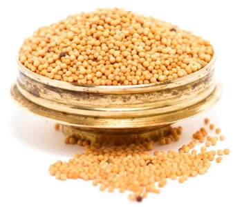 HS PILI SARSON YELLOW MUSTARD SEEDS